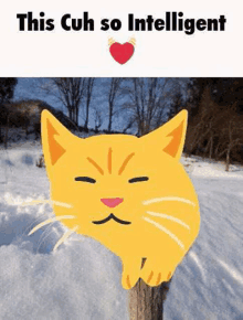 Cat Cats GIF - Cat Cats Cat Emoji GIFs