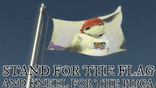 Pipca Flag GIF - Pipca Flag Stand For The Flag And Kneel For The Pipca GIFs