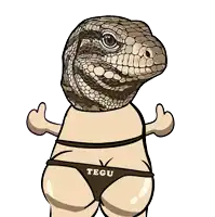 a cartoon drawing of a lizard wearing a bikini with the word tegu on the back