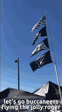 Raiders Flag GIF - Raiders Flag GIFs