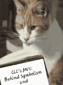 Clc The Cheshire Cat GIF - Clc The Cheshire Cat Cheshire Cat GIFs