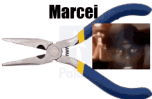 Marceplier GIF - Marceplier GIFs