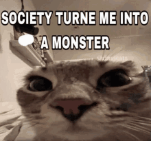Society Turne GIF - Society Turne Monster GIFs