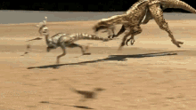 Raptor Small Dinosaurs GIF - Raptor Small Dinosaurs Running GIFs