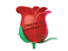 muddu rose flower spinning i love you my sweet heart