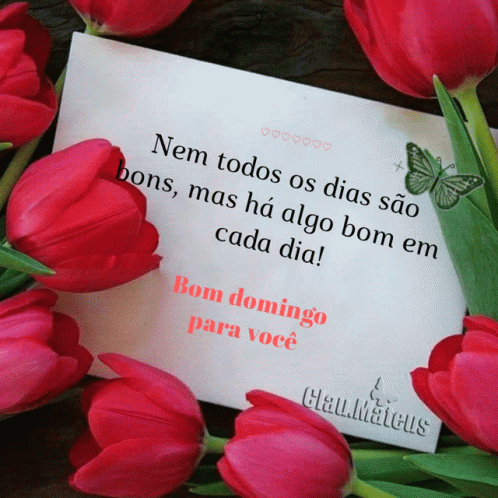 Bom Dia Good Morning GIF - Bom Dia Good Morning Flowers - Discover & Share GIFs Bom Dia Good Morning GIF - Bom Dia Good Morning Flowers - Discover & Share GIFs
