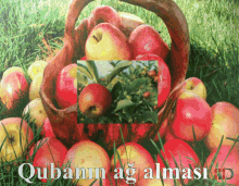 Quba Alması Alma GIF - Quba Alması Alma Azərbaycan Quba GIFs