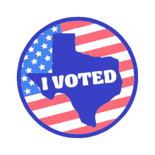 arielnwilson texas tx vote voter