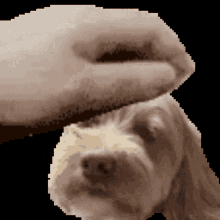 a pixel art of a person petting a small dog