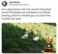 Modesty Duck Farm GIF