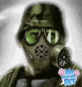 a man wearing a gas mask and a helmet with the word training pet on the bottom