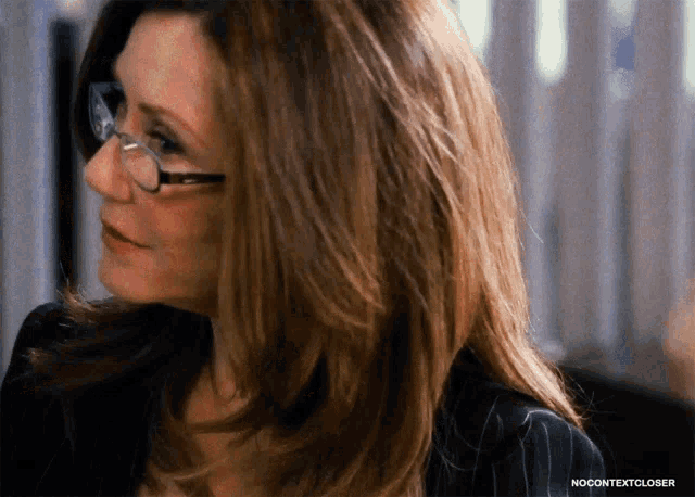 mary mcdonnell the closer
