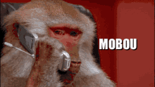 Mobou GIF - Mobou GIFs