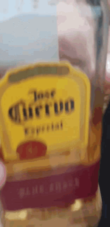 cuervo alcoholic beverage lets drink drink