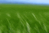 Touch Grass Grass Edit GIF - Touch Grass Grass Edit Discord Mod GIFs