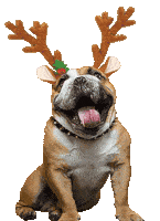 Merry Christmas Dog Sticker - Merry Christmas Dog Happy Stickers