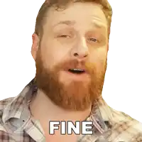 a man with a beard is wearing a plaid shirt that says fine