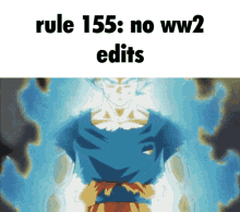 Rule155 No GIF - Rule155 No Ww2 GIFs