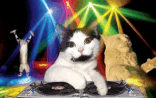 Cat Dj Disco Party GIF - Cat Dj Disco Party GIFs