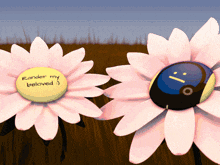 two flowers with a yellow center that says rander my beloved on it
