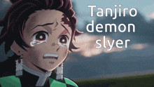 Tanjro Demon Slyer GIF - Tanjro Demon Slyer GIFs