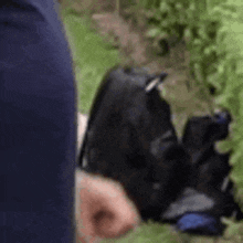 a person is holding a black backpack in their hand while standing in the grass .