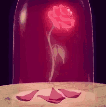 Rose Beauty And The Beast GIF - Rose Beauty And The Beast Flower GIFs