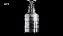 Nhl Stanleycup GIF