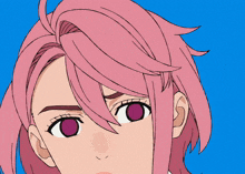 a girl with pink hair has purple eyes