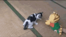 kitten playing puppet toy cute