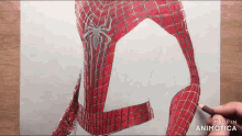 a person is drawing a spiderman with a pencil