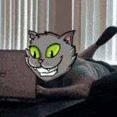 a person with a cat 's face on their head is using a dell laptop