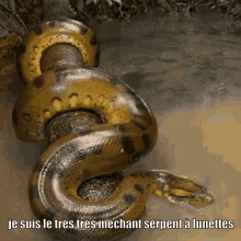 snake nikkalords