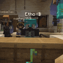 a screenshot of a minecraft game with the name etho