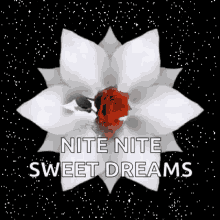 nite sweet dreams sparkles flowers good night