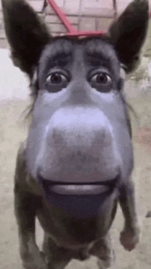 a close up of a dog 's face with a monkey 's face on it