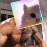 a turtle is wearing a rainbow colored square on its head .