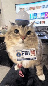 Cat Silly Car GIF - Cat Silly Car Cat Meme GIFs