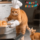 a cat wearing a chef 's hat and gloves holds a tray of bread