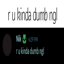 a screenshot of a text message from nik at 6:29 pm