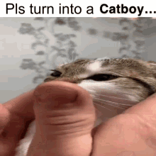 Catboy Turn Into GIF - Catboy Cat Boy GIFs