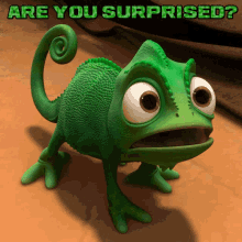 Are You Surprised GIFs | Tenor