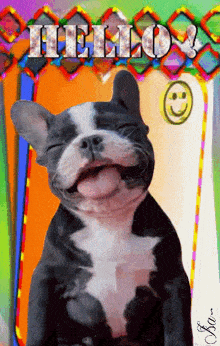 Chien Dog GIF - Chien Dog Happy GIFs