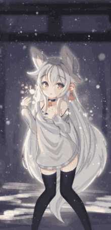 Snow Cat GIF - Snow Cat Fox GIFs
