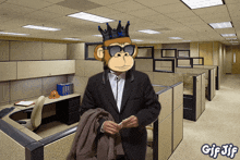 a gif of a man in an office with a monkey on his head and the words gif jif below him