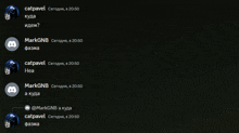 a screenshot of a discord conversation with catpavel