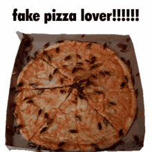 fake pizza lover fake pizza pizza ants cardboard