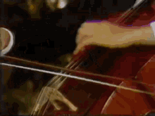Rostropovich Elfentamz Cello GIF