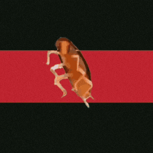Kayı Cockroach GIF - Kayı Cockroach GIFs