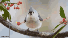 Titmouse Pingpong Bird GIF - Titmouse Pingpong Bird Weird GIFs
